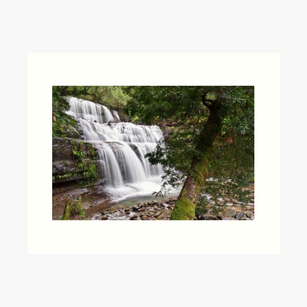 Liffey Falls, Tasmania Art Print