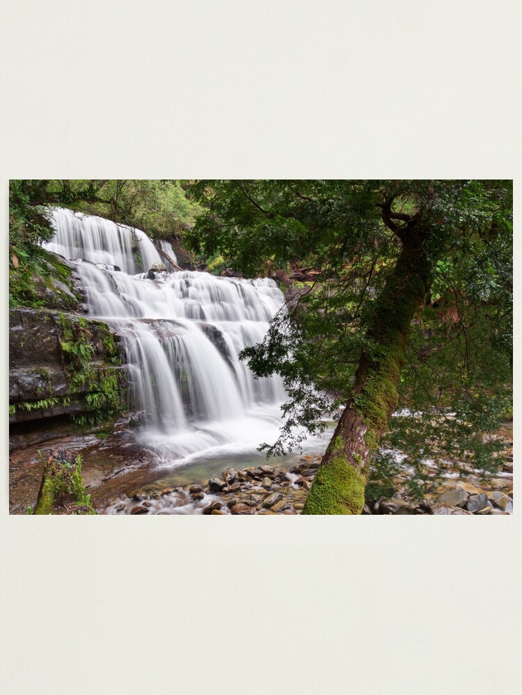 Alternate view of Liffey Falls, Tasmania Photographic Print