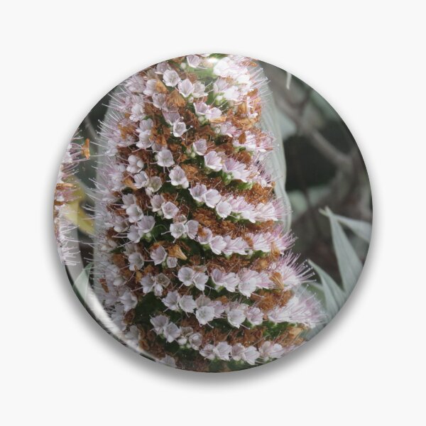 Item preview, White Echium candicans designed and sold by greentiger1.