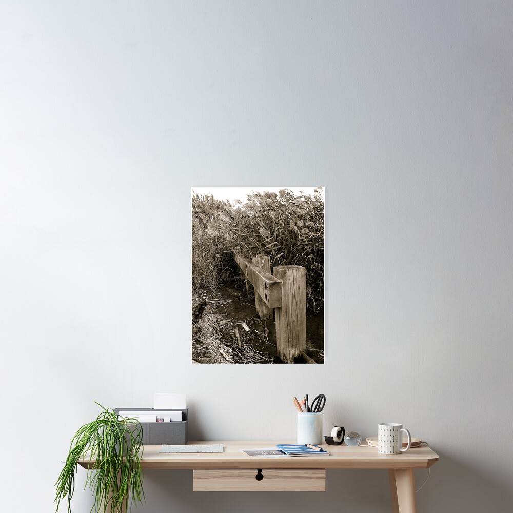 Item preview, Poster designed and sold by alvinsan9.