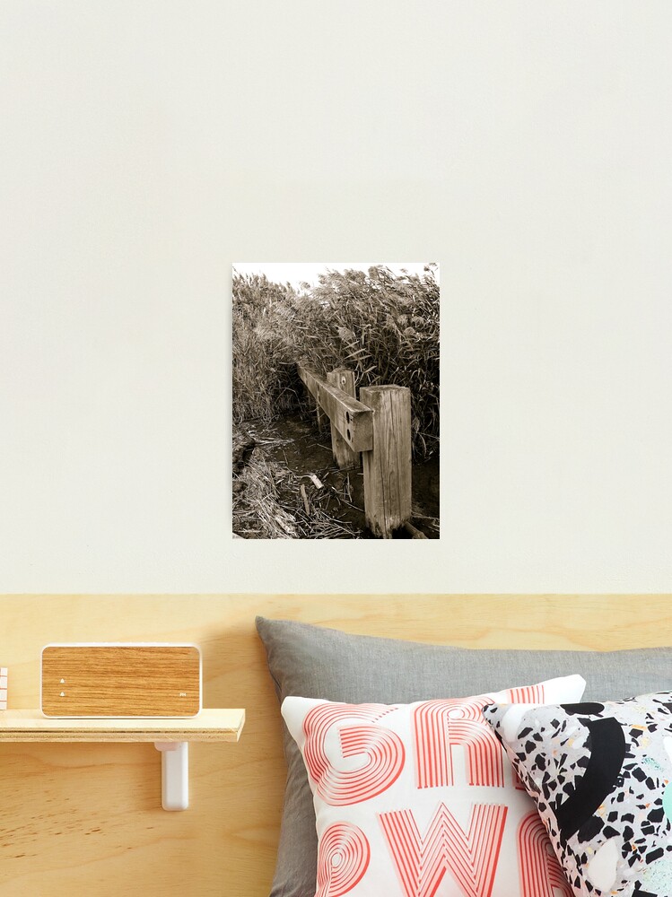 Thumbnail 2 of 3, Photographic Print, OverTaken designed and sold by alvinsan9.