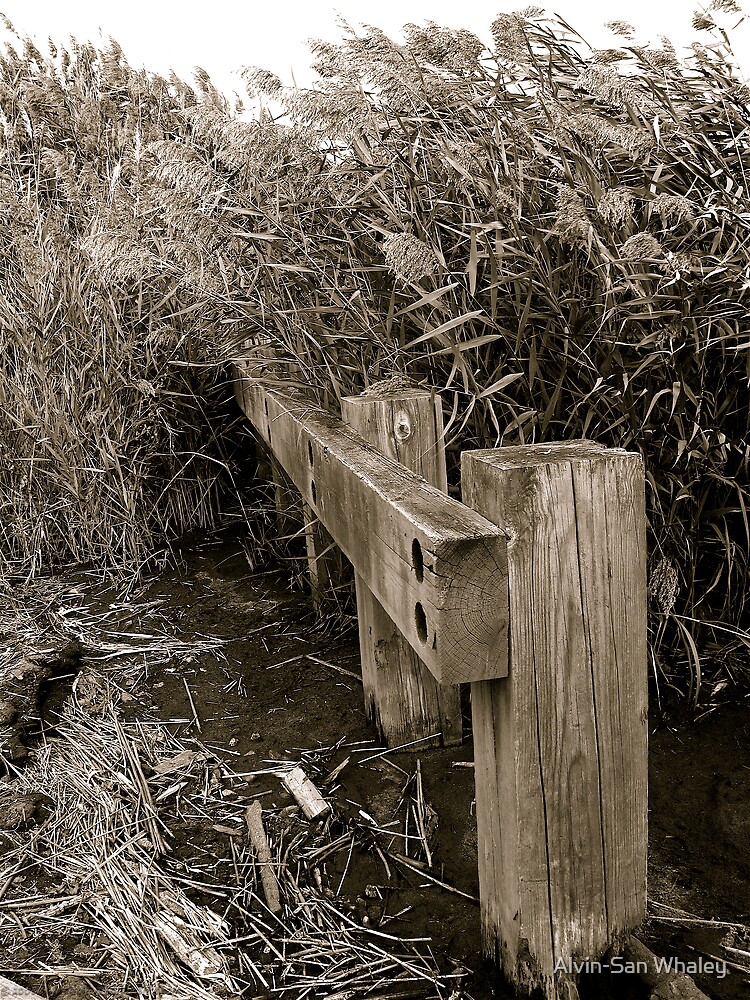 Thumbnail 3 of 3, Photographic Print, OverTaken designed and sold by alvinsan9.