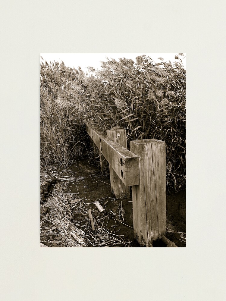 Thumbnail 1 of 3, Photographic Print, OverTaken designed and sold by alvinsan9.
