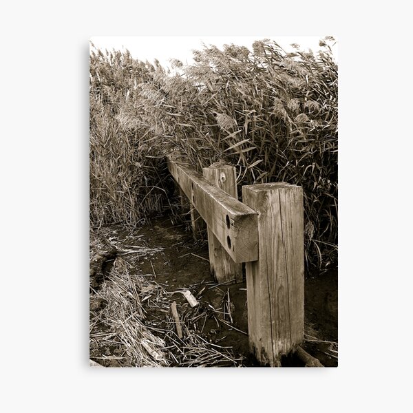 OverTaken Canvas Print
