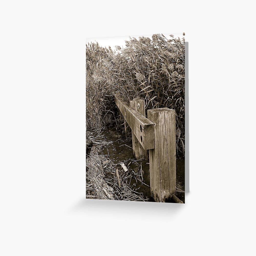 Item preview, Greeting Card designed and sold by alvinsan9.