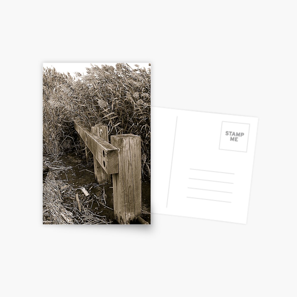 Item preview, Postcard designed and sold by alvinsan9.