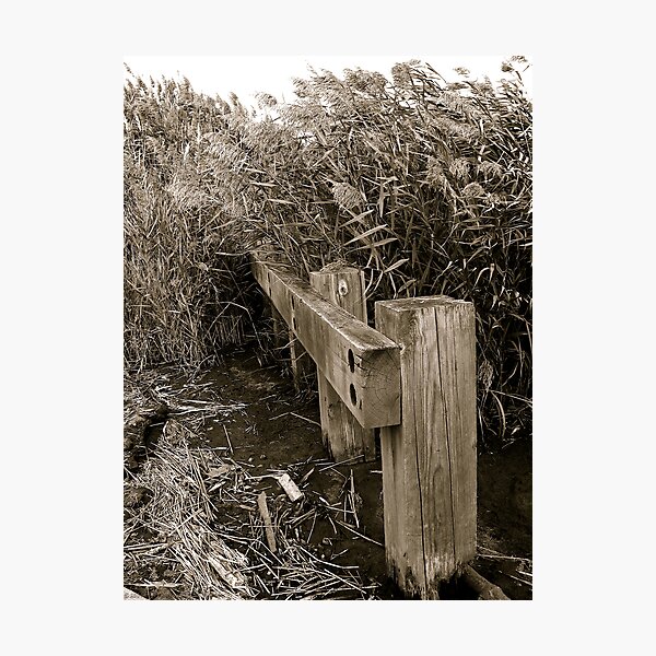 Photographic Print