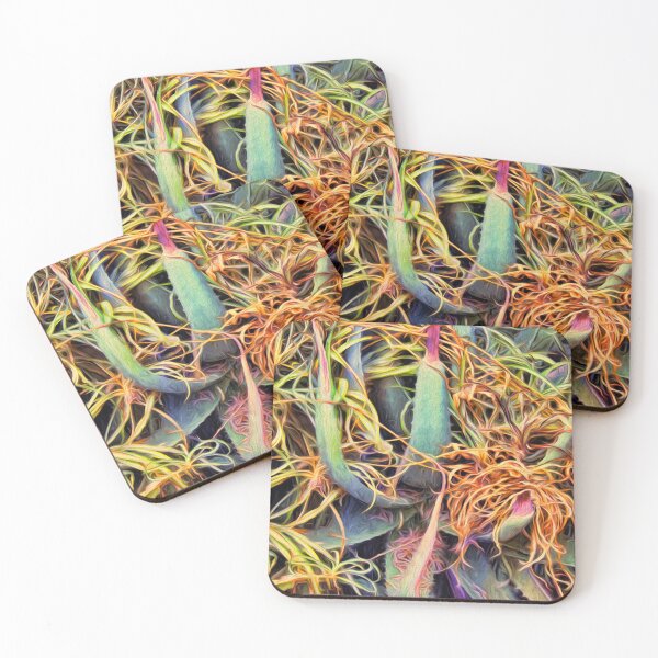 Item preview, Aloe Very designed and sold by Becky Titus.