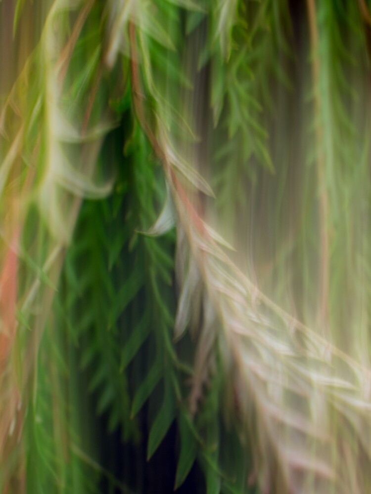 Fleur Blur Series-Abstract Decorative Leaves by AhUmDesign