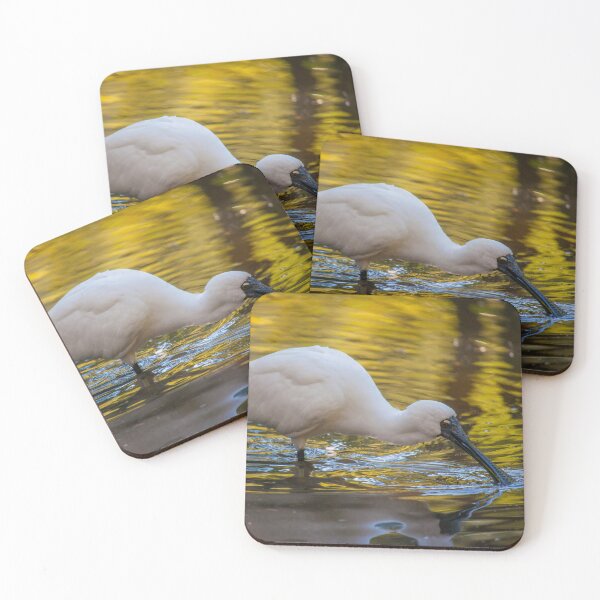 Item preview, Feeding Spoonbill designed and sold by Daniela Pintimalli.