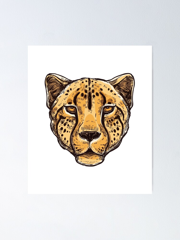 cheetah black an white, The planet's fastest land animal is built for super speed, rather than stamina. cheetah black an white, The planet's fastest land animal is built for super speed, rather than stamina.