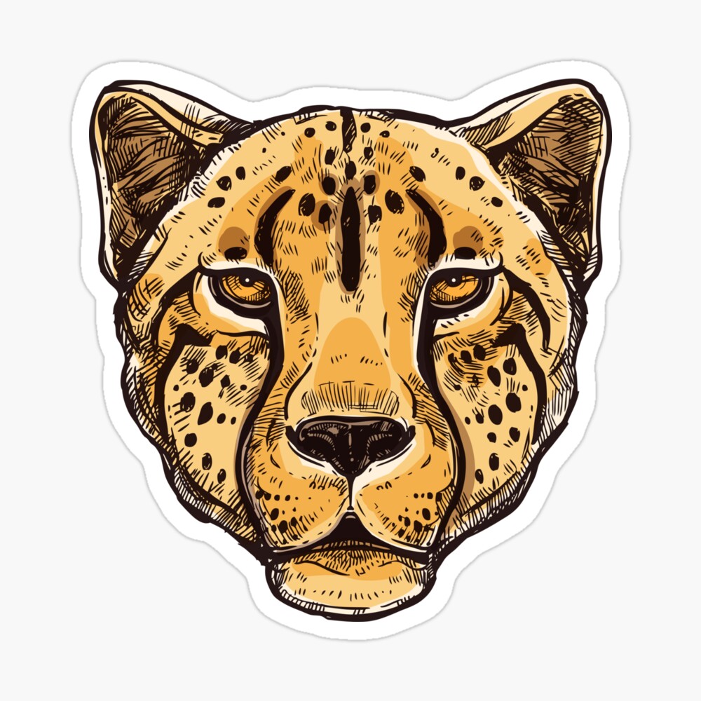 cheetah black an white, The planet's fastest land animal is built for super speed, rather than stamina. cheetah black an white, The planet's fastest land animal is built for super speed, rather than stamina.