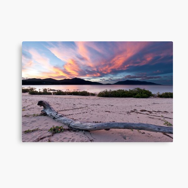 Dingo Beach Sunset Canvas Print