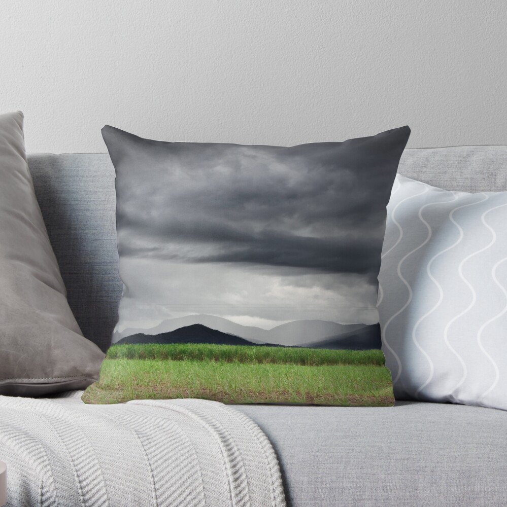 Monsoon Sky Throw Pillow