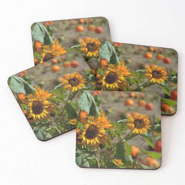 Item preview, Fall Harvest designed and sold by K D Graves Photography.