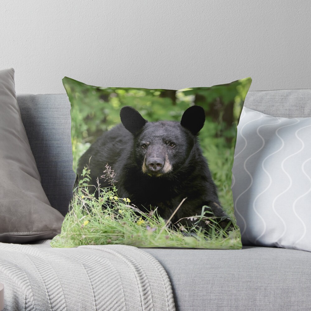 Resting Bear Throw Pillow By Mlorenz Redbubble