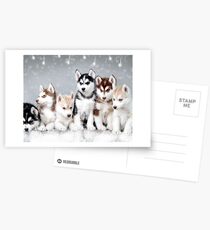 Christmas Siberian Husky Puppies Postcards