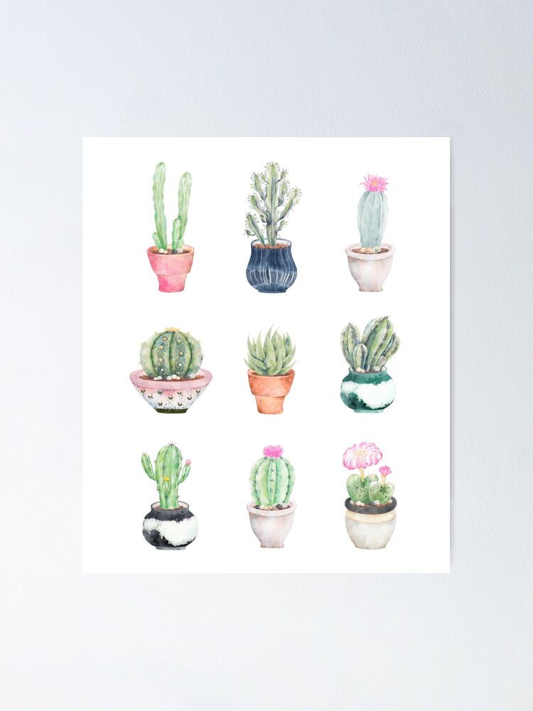 "Succulents" Poster by BekkaCampbell Redbubble