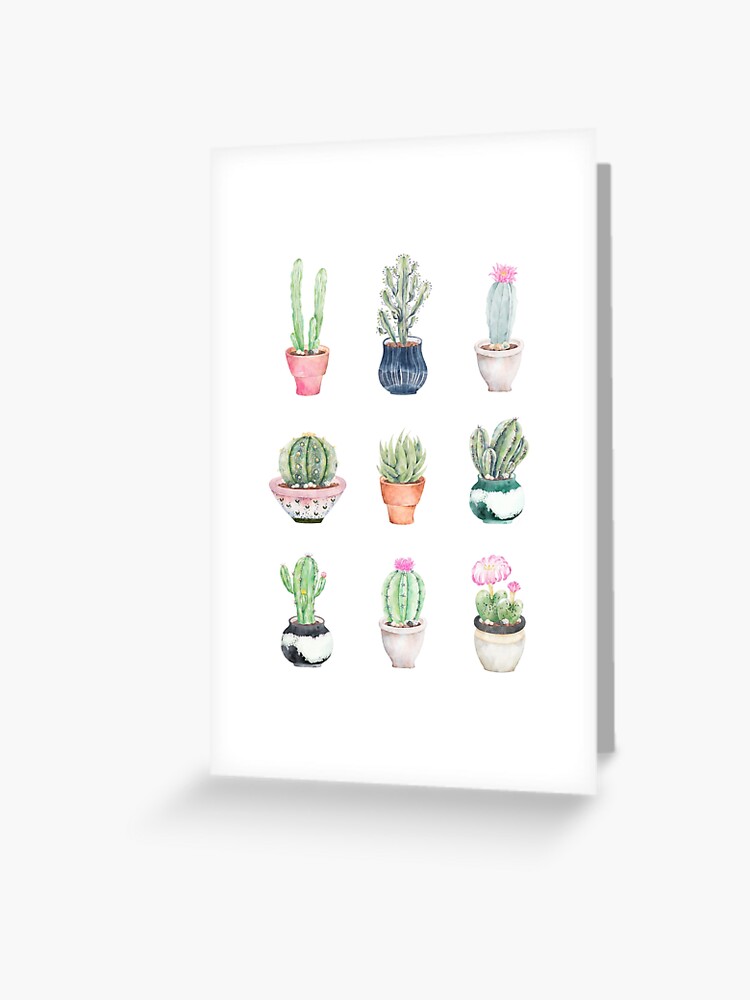 Succulents Greeting Card By Bekkacampbell Redbubble