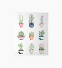 Succulents Art Board