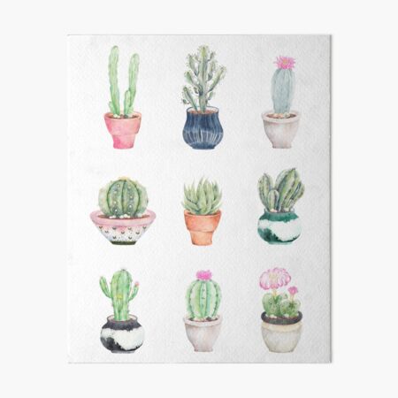 Succulents Art Board Print