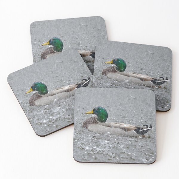 Item preview, Duck Weather designed and sold by richardbryce.