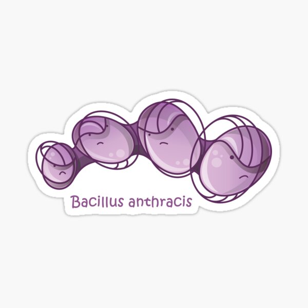 Bacillus anthracis Sticker