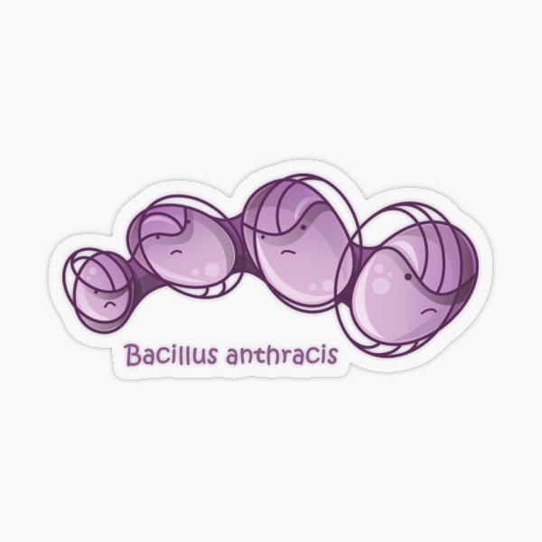 Bacillus anthracis Transparenter Sticker