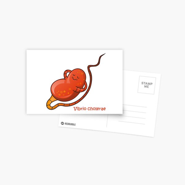 Vibrio cholera Postkarte