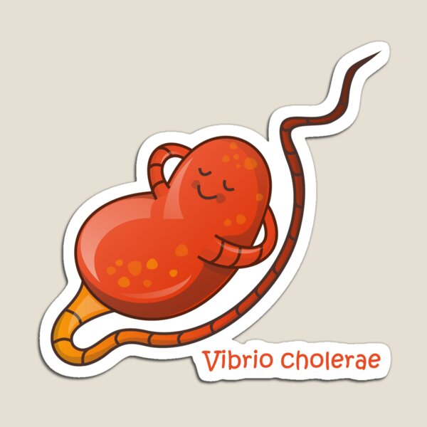 Vibrio cholera Magnet