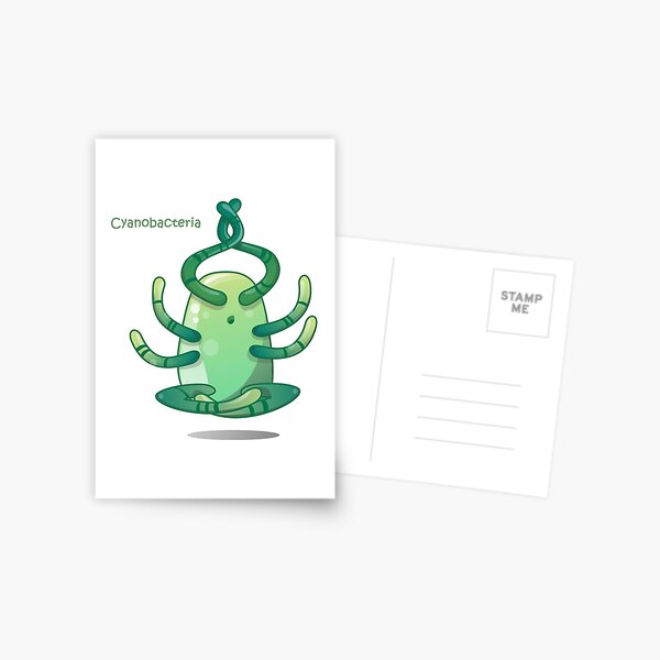 Cyanobakterien Postkarte