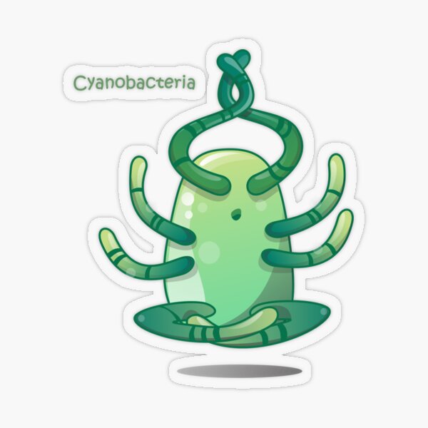 Cyanobakterien Transparenter Sticker