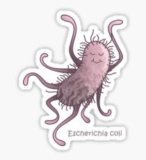Escherichia coli Sticker