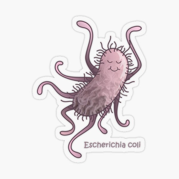 Escherichia coli Transparenter Sticker