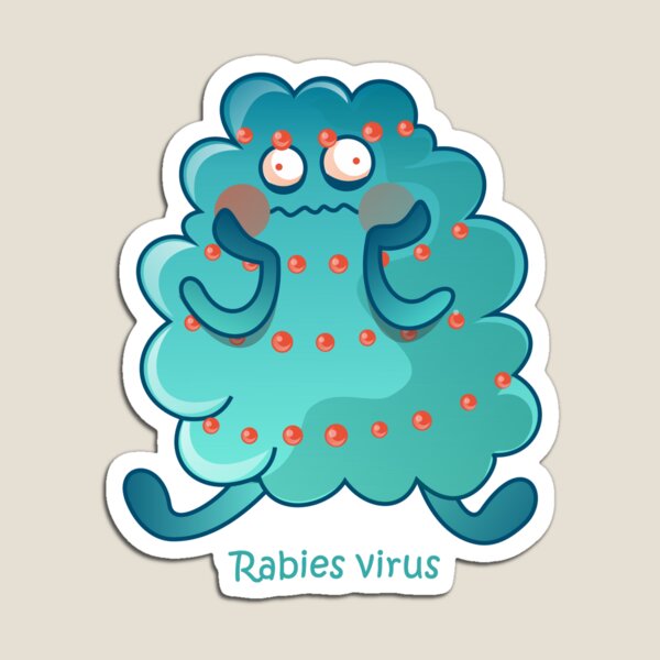 Tollwut-Virus Magnet