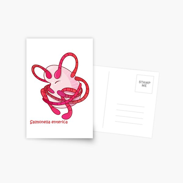 Salmonella enterica Postkarte
