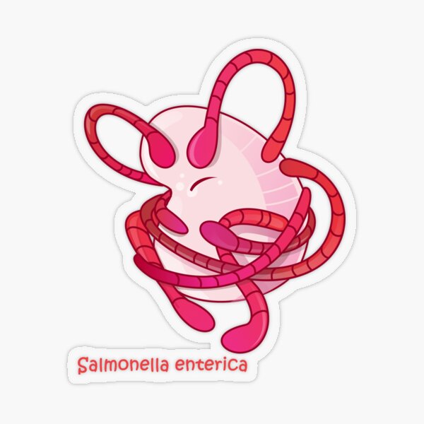 Salmonella enterica Transparenter Sticker
