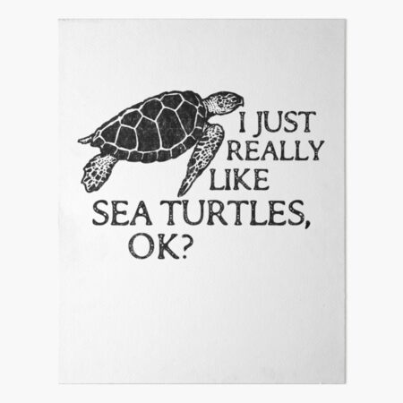 SoCal Sea Turtles Unisex Youth It's Not Easy Being Green Sea Turtle  Shirt in Gray