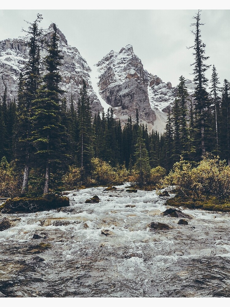 Disover mountain rapids | Canvas Print