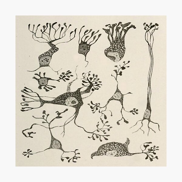 Item preview, Vintage Neuron Cells designed and sold by BlueSpecsStudio.