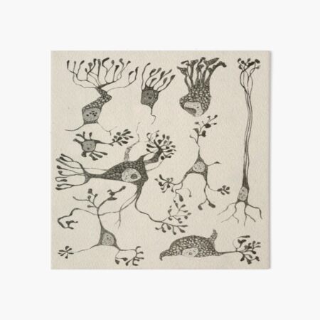 Vintage Neuron Cells Art Board Print