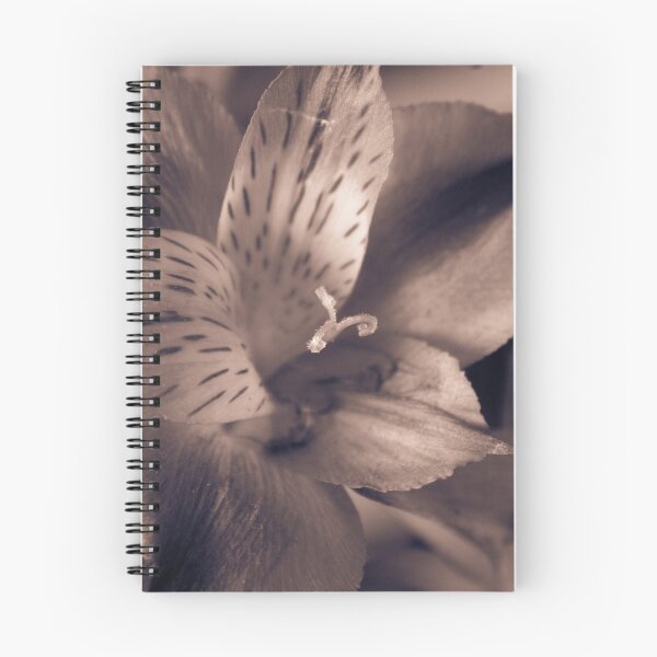 Item preview, Closeup of Flower in Sepia Tone designed and sold by middayimages.