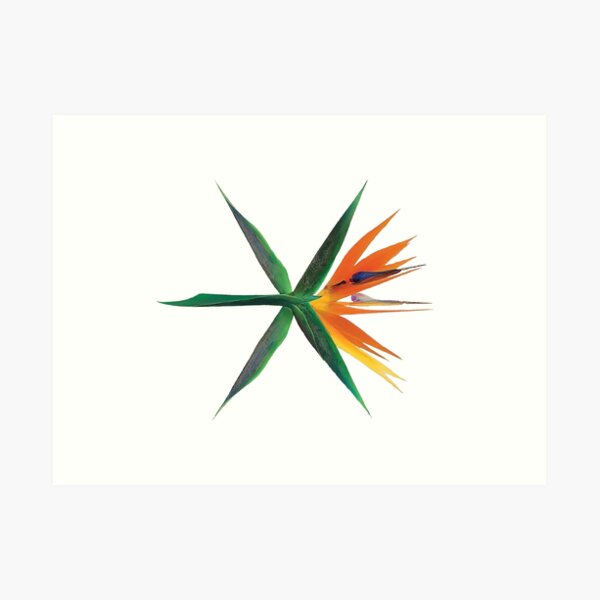 EXO Lámina artística
