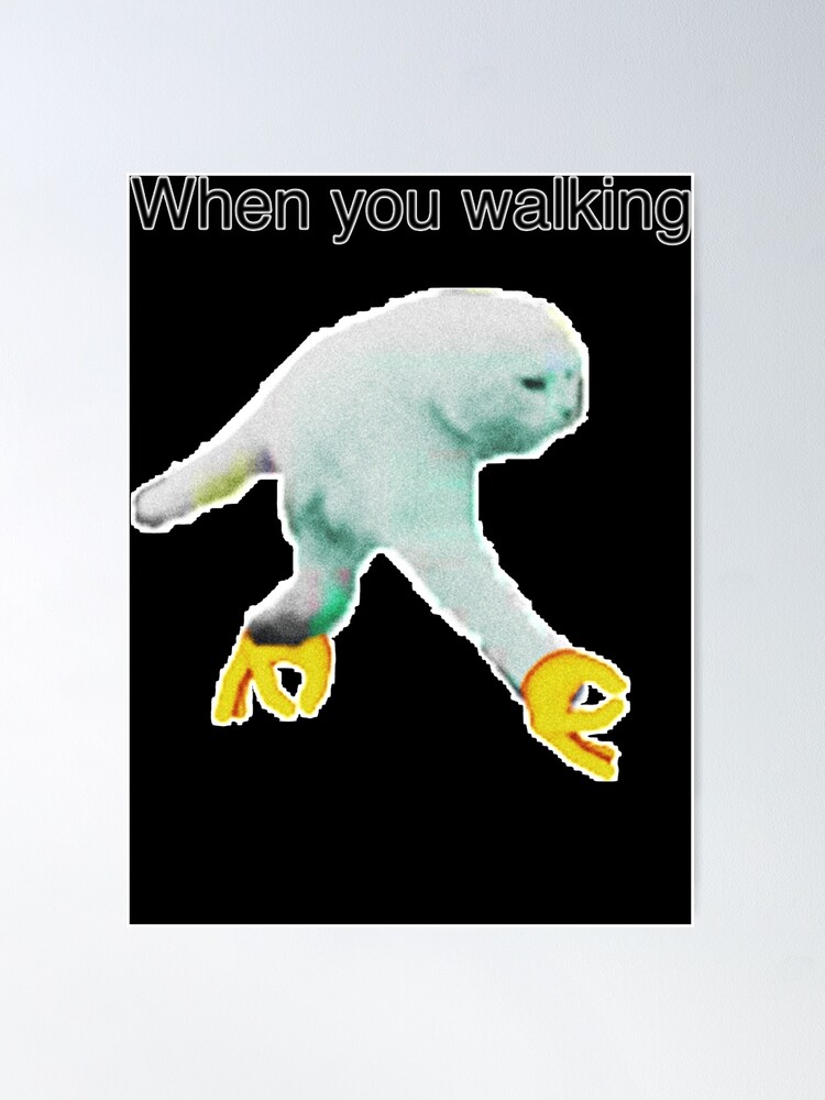 WHEN YOU WALKING DANK MEME Poster for Sale by MemesnDeams