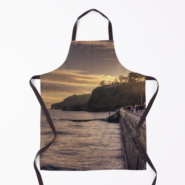 Item preview, Dawlish Winter Huts designed and sold by hawkie.