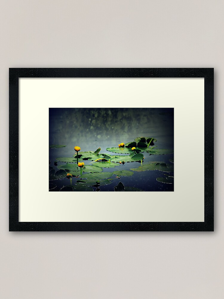 Alternate view of lily pads in the rain at Vernonia Lake Framed Art Print