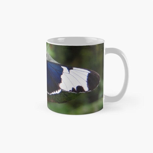 Item preview, Butterfly Heliconius Cydno designed and sold by ienemien.