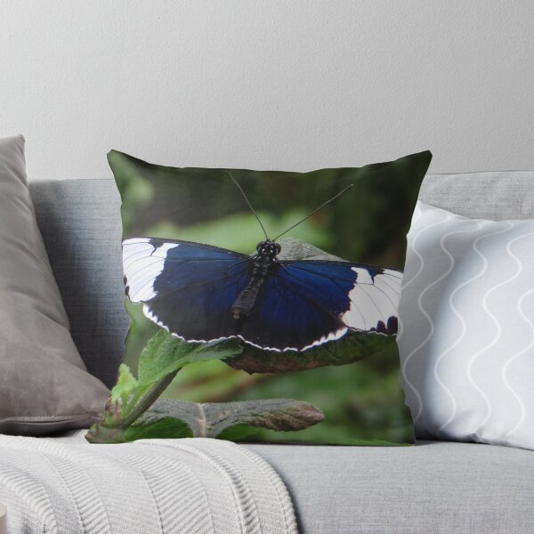 Item preview, Butterfly Heliconius Cydno designed and sold by ienemien.