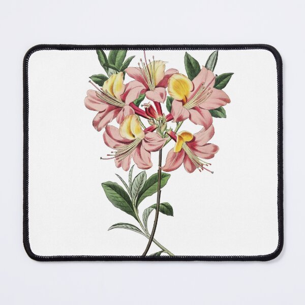 Item preview, Pontic azalea Flower designed and sold by Artisticlance.
