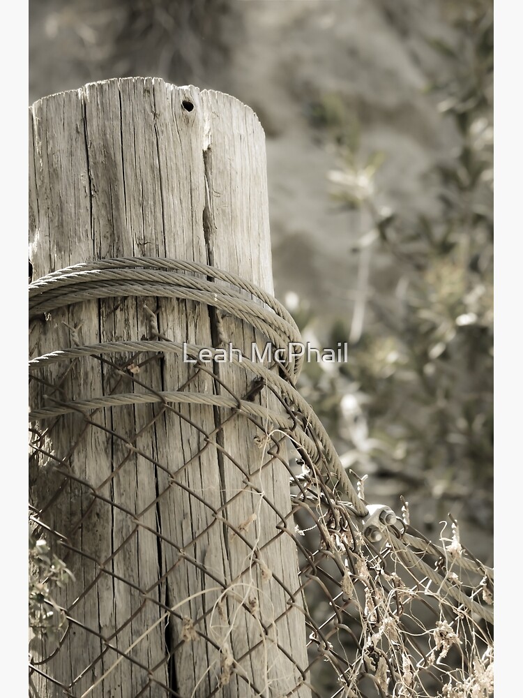On The Ranch by LeahMcPhail